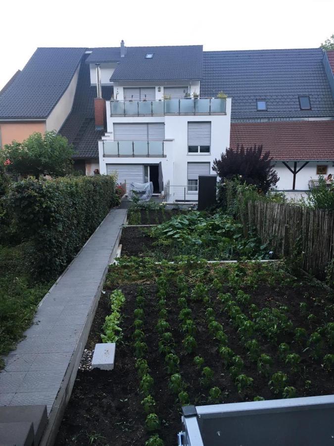 Weiherhausstraße 6 *